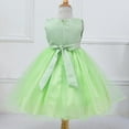thumbnail image 3 of CNKOO Robe Princesse en Dentelle Cendrillon pour Petites Filles Robes de Bal de Concours Robes de Filles en Tulle Fleur, 3 of 5