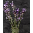 thumbnail image 2 of Kimberly, Allen 26x32 White Modern Wood Framed Museum Art Print Titled - Lavender Jar 1, 2 of 4