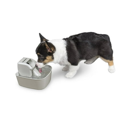 - Premier Pet 50 oz. Pet Fountain – Automatic Water Fountain for Dogs and Cats