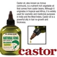 thumbnail image 4 of Aceite para cabello y barba SFC Natural King Pro-Growth 210 ml con aceite de ricino, 4 of 8