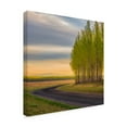 thumbnail image 2 of Trademark Fine Art 'A Forest And A Road Square' Canvas Art by Jason Matias, 2 of 3