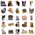 thumbnail image 3 of 50-Pack Cute Cat Sticker Pack Beautiful Cats Decals for Fans Colorful Cars Laptops Skateboards Water Bottle Bicycles Cell Phones Guitar Trunk Window Teens, 3 of 4