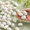 0.8-1.2 Inch-5 Pounds, variant on 0.8-1.2 Inch 10 Pounds White River Rocks Outdoor Decorative Stones