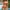 Watermelon Red, variant on Sakmal Bikinis Womens Swimsuits Tie Front High Waisted Two Piece Sets Green Swimwear Halter Triangle Push Up Swimsuit Sets