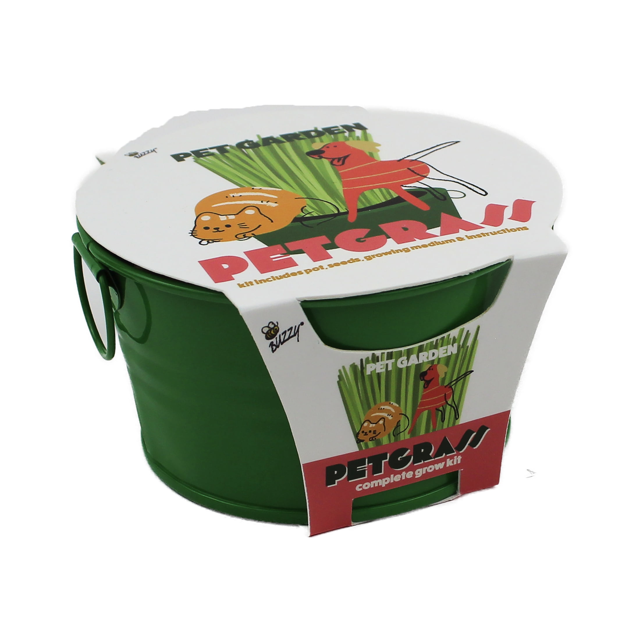 Buzzy Pet Ryegrass Garden Mini Basin Grow Kit