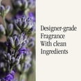 thumbnail image 4 of Home Scent Refill Pura & Brooklyn Candle Studio Smart Difusor, 4 of 8