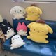 thumbnail image 2 of Pochacco-peluches de felpa para niños, peluches femeninos de My Melody Kuormi Pom Purin, almohada decorativa para sofá, regalos de cumpleaños, 2 of 5
