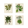 thumbnail image 2 of Metaverse Vision Studio 'Verdant Foliage B' Canvas Art (Set of 4), 2 of 5