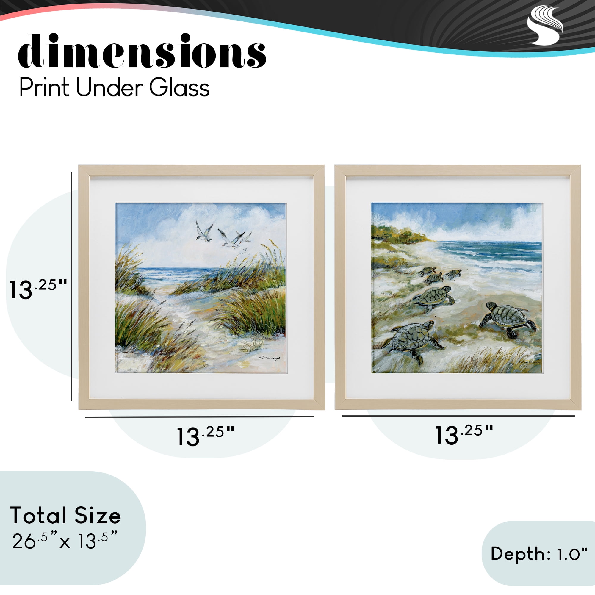 Stupell Industries Beach Creatures on Dunes 2 Piece Birch Framed Print Under Glass Set, design by Susan Winget