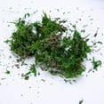thumbnail image 2 of Dried Artificial Moss Lining Decor Flower Hanging Baskets Gardening Crafts, 2 of 7