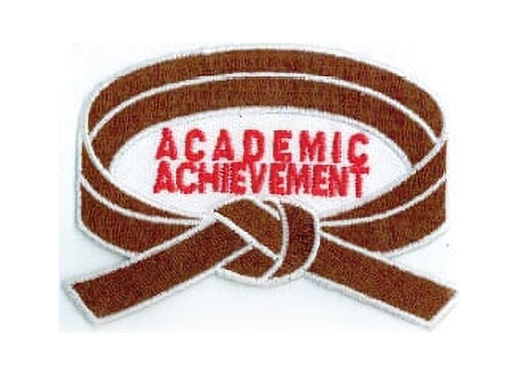 Academic Achievement Patches, Martial Arts, Promotion Belt Rank Patch, Sew-on (Brown, 3 pcs)