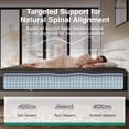 thumbnail image 5 of Novilla PoemEase 12 Inch Queen Size Graphene Fabric Cooling Hybrid Mattress in a Box With Classic Luxe Queen Platform Bed Frame with Velvet Upholstered Adjustable Headboard Bundle, 5 of 13