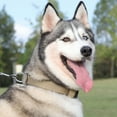 thumbnail image 3 of CIYISON Adjustable Dog Collar For Night Safety Soft Padded Nylon Pet Training Collar Reflective with Handle, 3 of 20