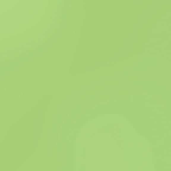 Bazzill Card Shoppe Heavyweight Cardstock 12"X12"-Spearmint Stick