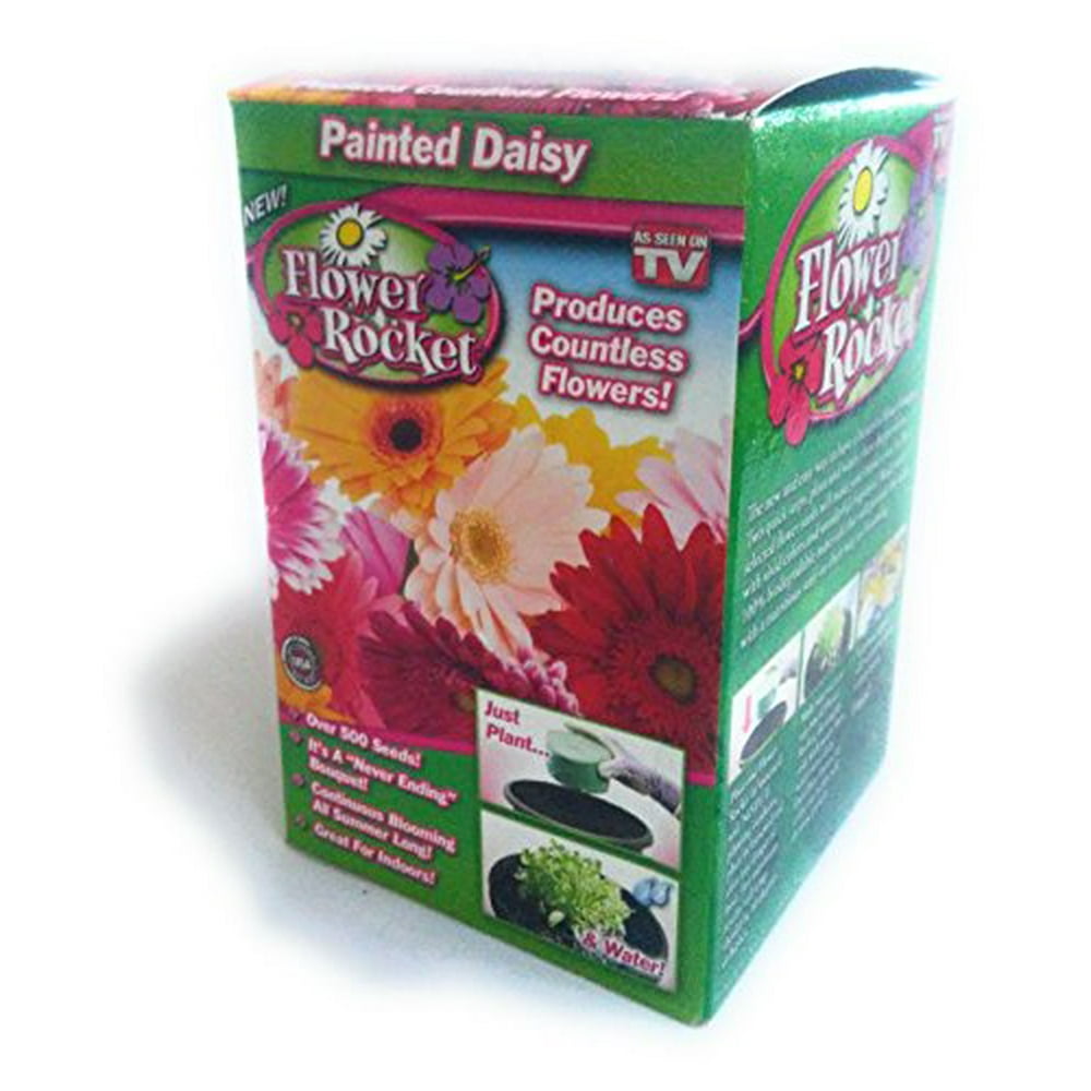 Flower Rocket As Seen On TV Painted Daisy