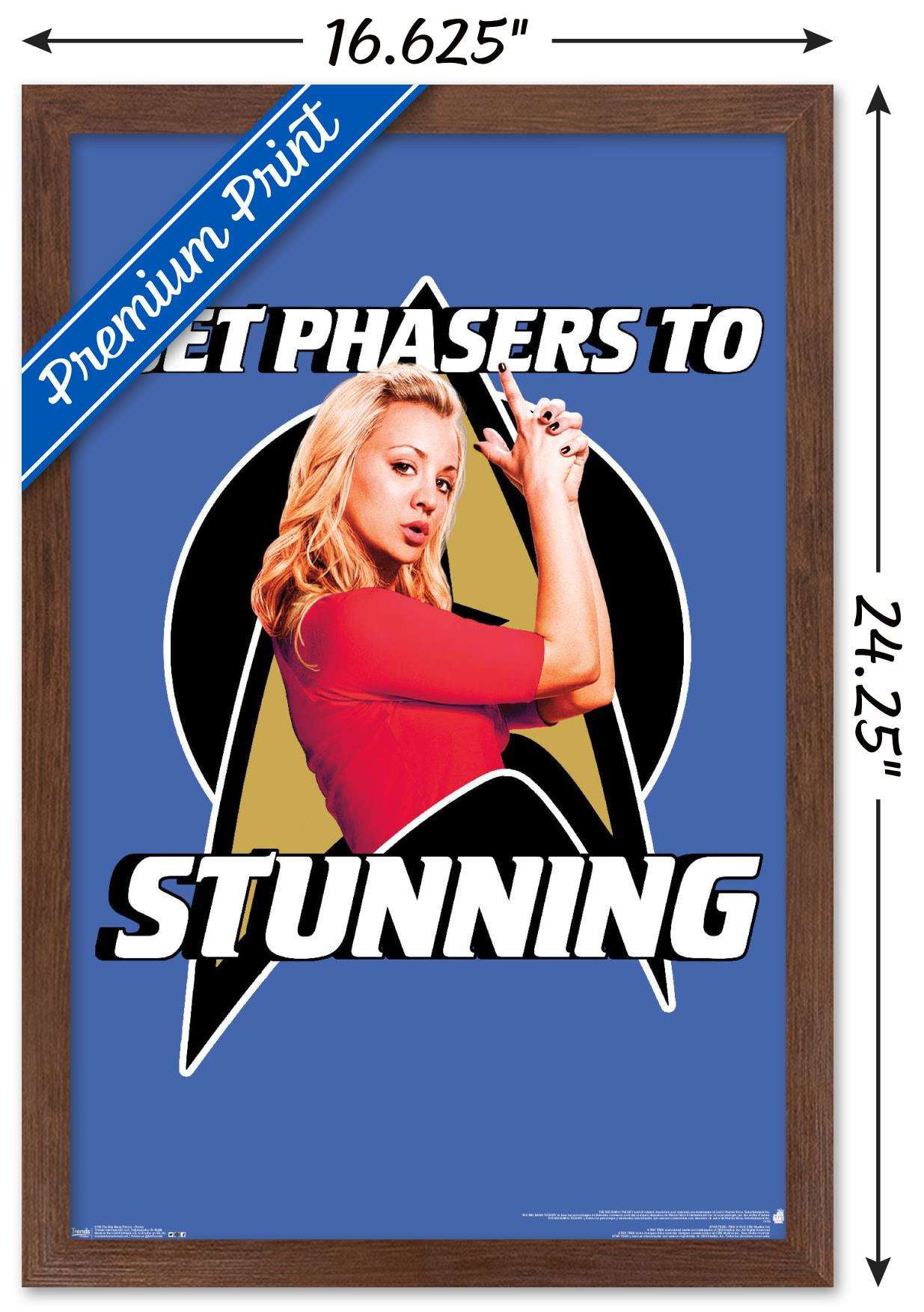 The Big Bang Theory - Penny Wall Poster, 14.725" x 22.375", Framed