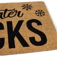 thumbnail image 4 of BirdRock Home Winter Sucks Camera Coir Front Door & Entry Doormat - 18" x 30", 4 of 5