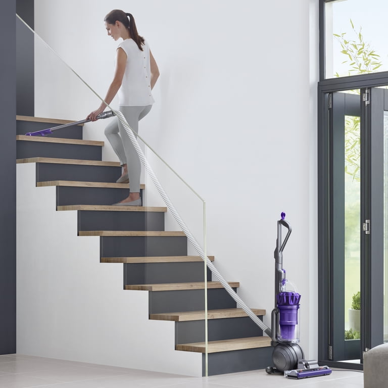 Dyson Ball Animal Origin Upright Vacuum Cleaner for Pet Allergen