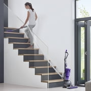 Dyson Ball Animal Origin Upright Vacuum Cleaner | Purple | New