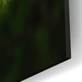 thumbnail image 3 of Epic Art 'Leaf and Ant' by Philippe Sainte-Laudy, Acrylic Glass Wall Art, 16"x12", 3 of 8