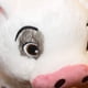 thumbnail image 4 of Libertry 22cm Moana Haustier Schwein Pua Kuscheltiere Lindo Caricatura Plüschtier Puppe Suave Negro, 4 of 6