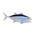 thumbnail image 4 of Vida marina simulada,Modelo de vida marina simulada adornos regalo,Simulación de animales marinos modelo figura juguetes para niños,Simulación para niños ciencia marina,Figuras de animales, 4 of 8