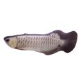 thumbnail image 1 of AMERTEER Jouet pour Chat 30 cm Poisson Simulation Jouet Chat Menthe USB Rechargeable Arrowana Argenté, 1 of 2