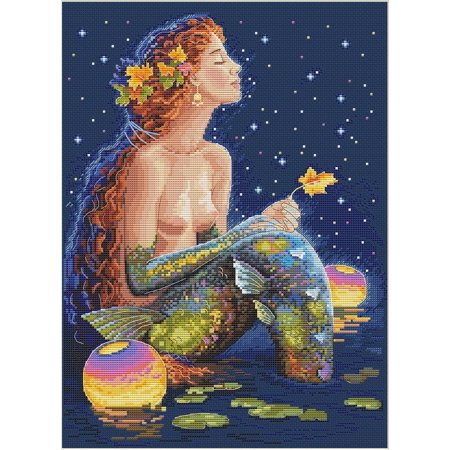 Counted Cross Stitch kit Stars 26x35cm