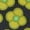 Navy, variant on Regatta Boys/Girls Orla Kiely Swing Spinning Flower Waterproof Jacket