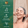 thumbnail image 6 of Tio Nacho Mexican Herb Hair Strengthening Shampoo with Royal Jelly, Value 3 Pack, 14 oz, 6 of 9