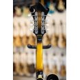 thumbnail image 4 of Gold Tone GM-35 F-Style Mandolin Tobacco Sunburst, 4 of 11