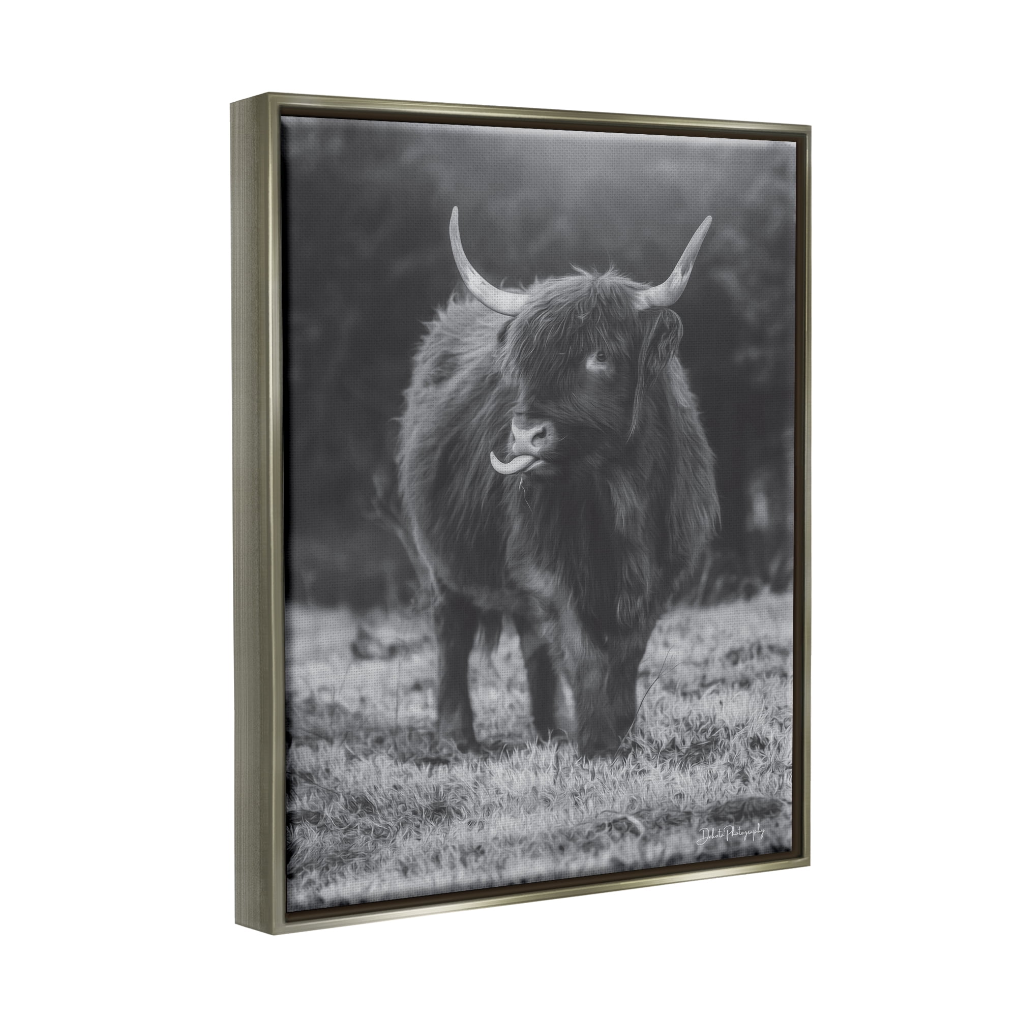 Stupell Monochrome Highland Cow Photography Animals & Insects Photography Gray Floater Framed Art Print Wall Art