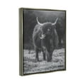 thumbnail image 3 of Stupell Monochrome Highland Cow Photography Animals & Insects Photography Gray Floater Framed Art Print Wall Art, 3 of 6