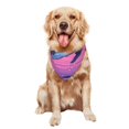 thumbnail image 5 of Goofa Hawaiian Beach Dolphin Printing Dog Bandana ,Cat Scarf Adjustable Bib Handkerchief Accessories for Dogs Cats,Pet scarf,Pet fashion, 5 of 6