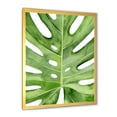 thumbnail image 2 of Designart 'Close Up Green Monstera Leaf Tropical Palm' Tropical Framed Art Print, 2 of 4