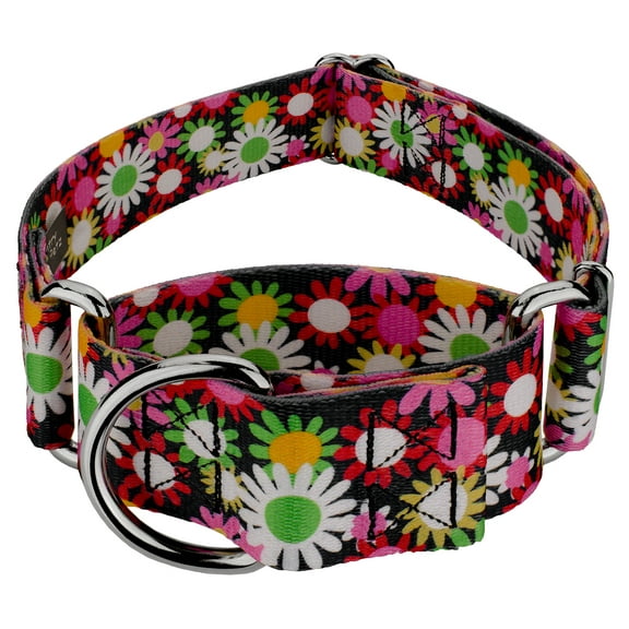 Country Brook Petz® 1 1/2 inch Daisy Fields Martingale Dog Collar, Large