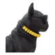thumbnail image 5 of Collares De Cadena De Cuero Ajustables Para Perros Pequeños, 5 of 8