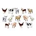 thumbnail image 3 of Carson Dellosa Cd-168013 Farm Animals: Photographic, 3 of 3
