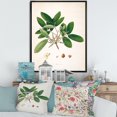thumbnail image 3 of Designart Vintage Botanicals II FLOAT FRAME WALL ART, 3 of 4