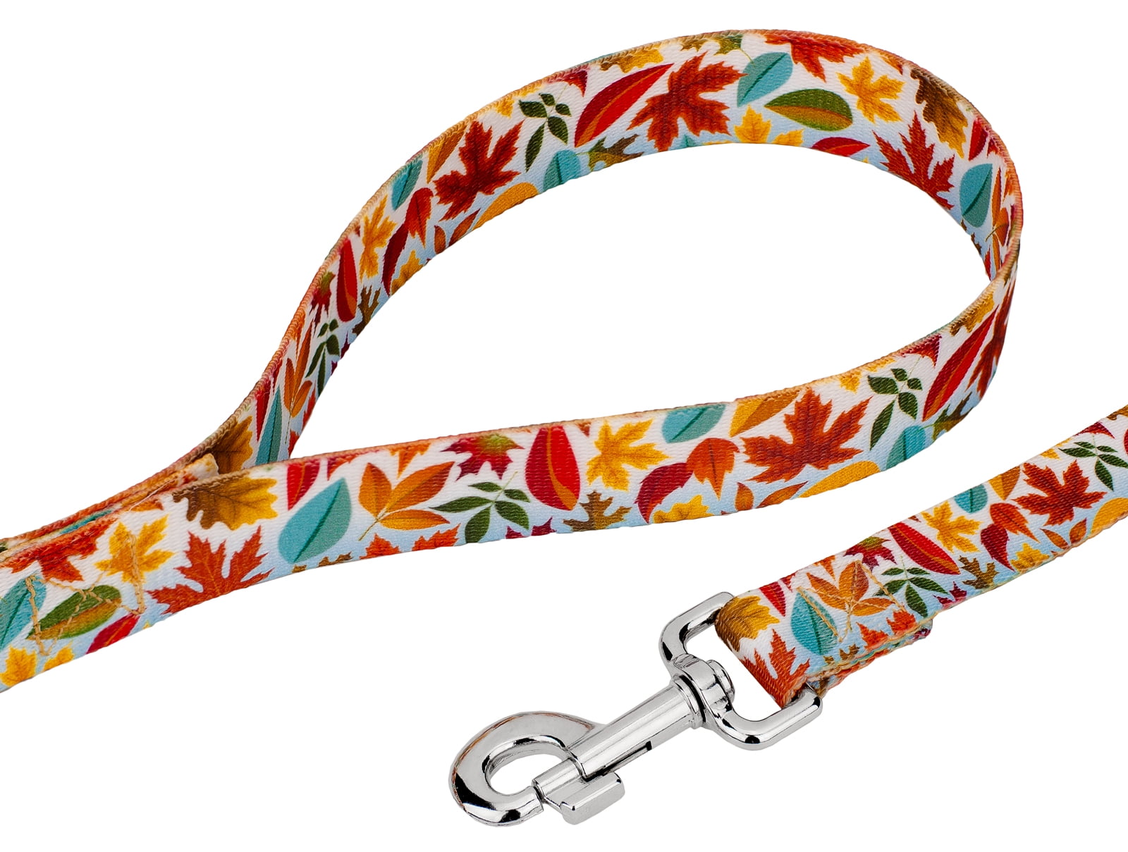 Country Brook Petz® Brisk Autumn Everyday Dog Collar and Leash, Small