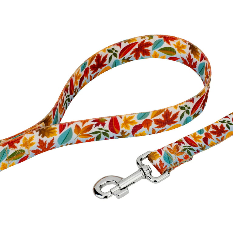 Country Brook Petz Deluxe Fall Foliage Dog Collar- Made in The U.s.a., Medium