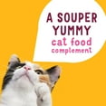 thumbnail image 6 of Friskies Lil' Soups With Sockeye Salmon in a Velvety Chicken Broth Adult Wet Cat Food Complement, 1.2 OZ (Pack of 16), 6 of 8