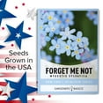 thumbnail image 4 of Forget Me Not Seeds, 4 of 7
