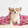 thumbnail image 4 of Pofeuu Strawberry Cake Print Puppy Blanket,Dog Blankets,Pet Blanket Cozy Cat Blankets for Indoor Cats, Fuzzy Pet Blanket for Kitten Doggy Dog Blankets-Large, 4 of 8