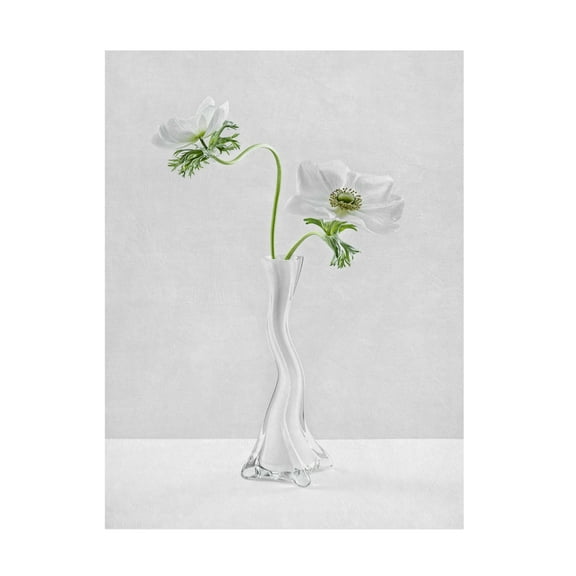 Canvas Wall Art - Inna Karpova 'Curves' Wall Art for Living Room, Bedroom, or Office Décor by Trademark Fine Art - 14 x 19 Inches