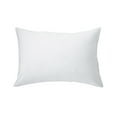 thumbnail image 3 of AllerEase Smooth Touch Travel Pillow, 14”x20” - Allergy Protection, Ultra Soft, 3 of 8