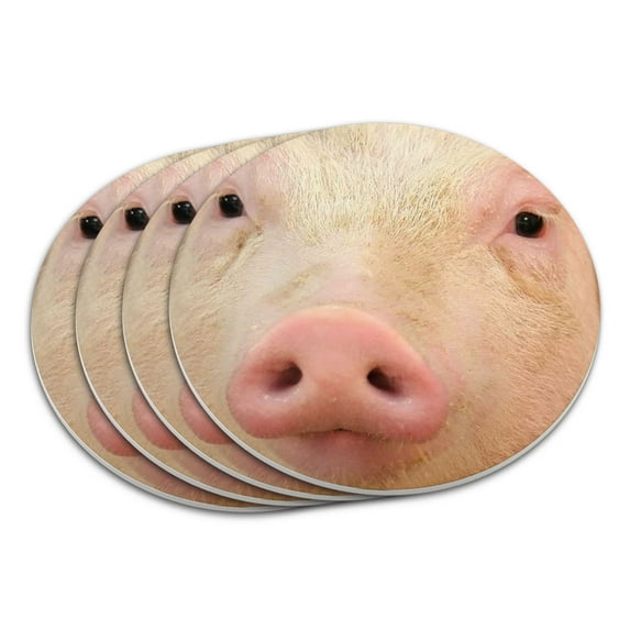 Pig Piggy Face Coaster Set