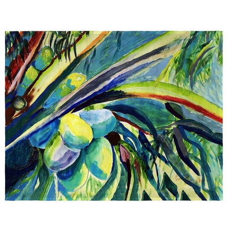 

Betsy Drake PM1347 14 x 18 in. Cocoa Nuts III Place Mat - Set of 4