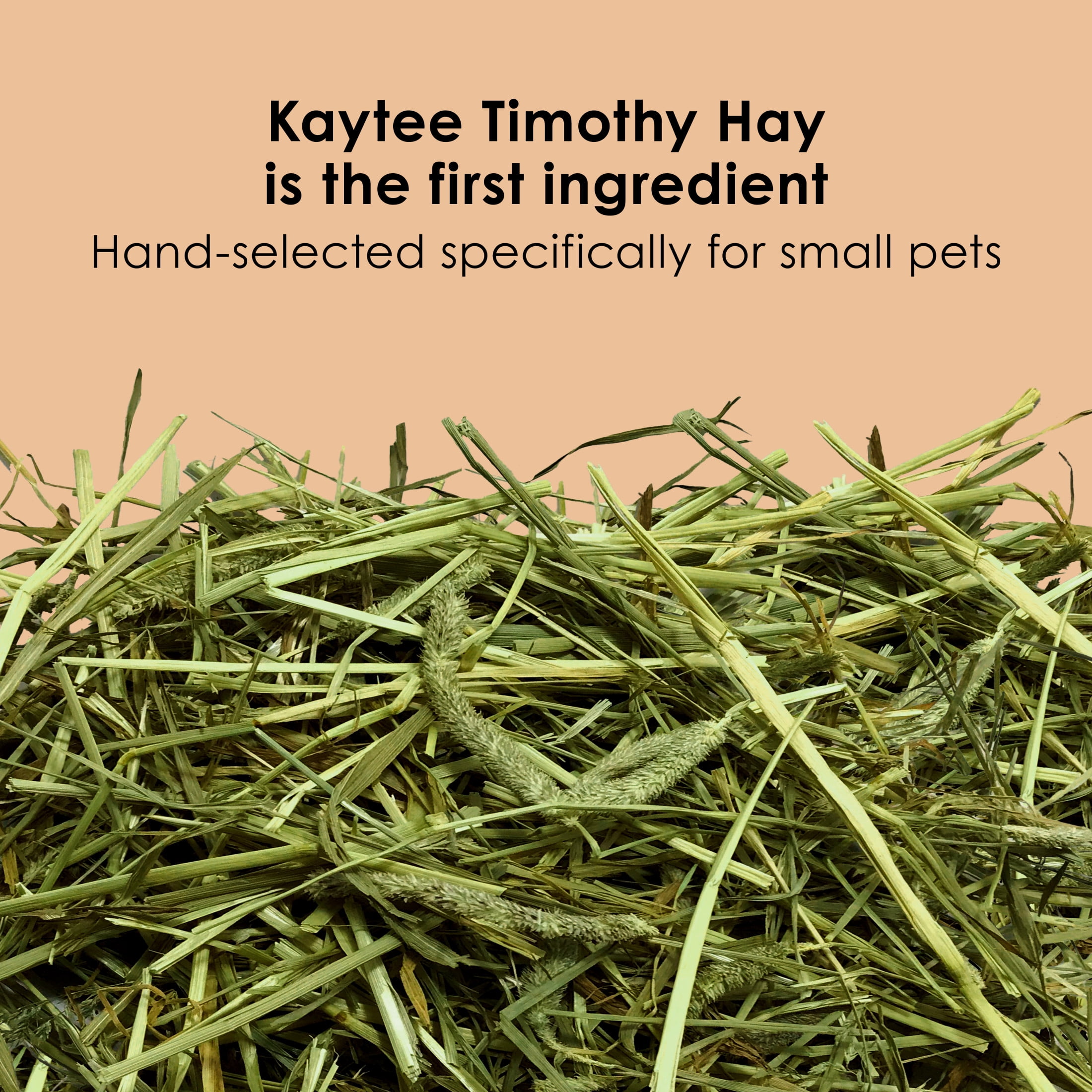 Kaytee Timothy Complete Guinea Pig Food 25 Pounds