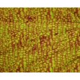 thumbnail image 4 of oneOone Polyester Lycra Lime Green Fabric Batik Sewing Fabric By The Yard Printed Diy Clothing Sewing Supplies 56 Inch Wide, 4 of 4